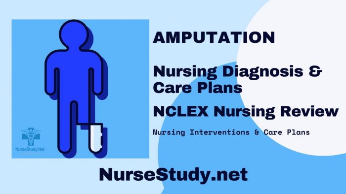 Nursing care plan for amputation