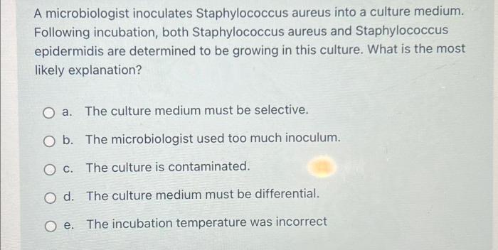 A microbiologist inoculates staphylococcus epidermidis and escherichia coli