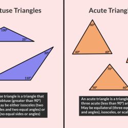 Acute obtuse triangle following right classify