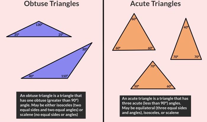 Acute obtuse triangle following right classify