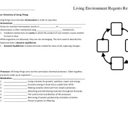 The living environment regents review packet