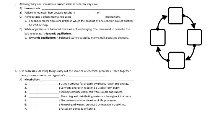 The living environment regents review packet