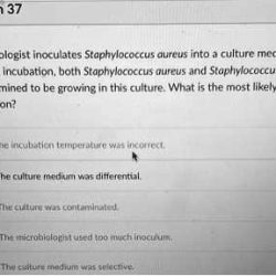 Test biochemical epidermidis staphylococcus identification culture bacteria between biochemistry