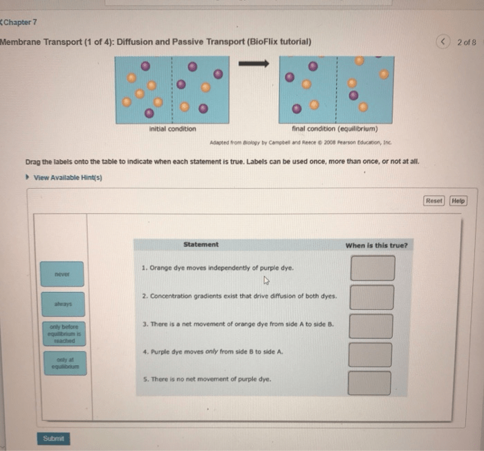 Bioflix activity: membrane transport -- diffusion