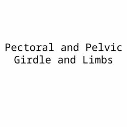 Pectoral anatomy girdles girdle bsb physiology